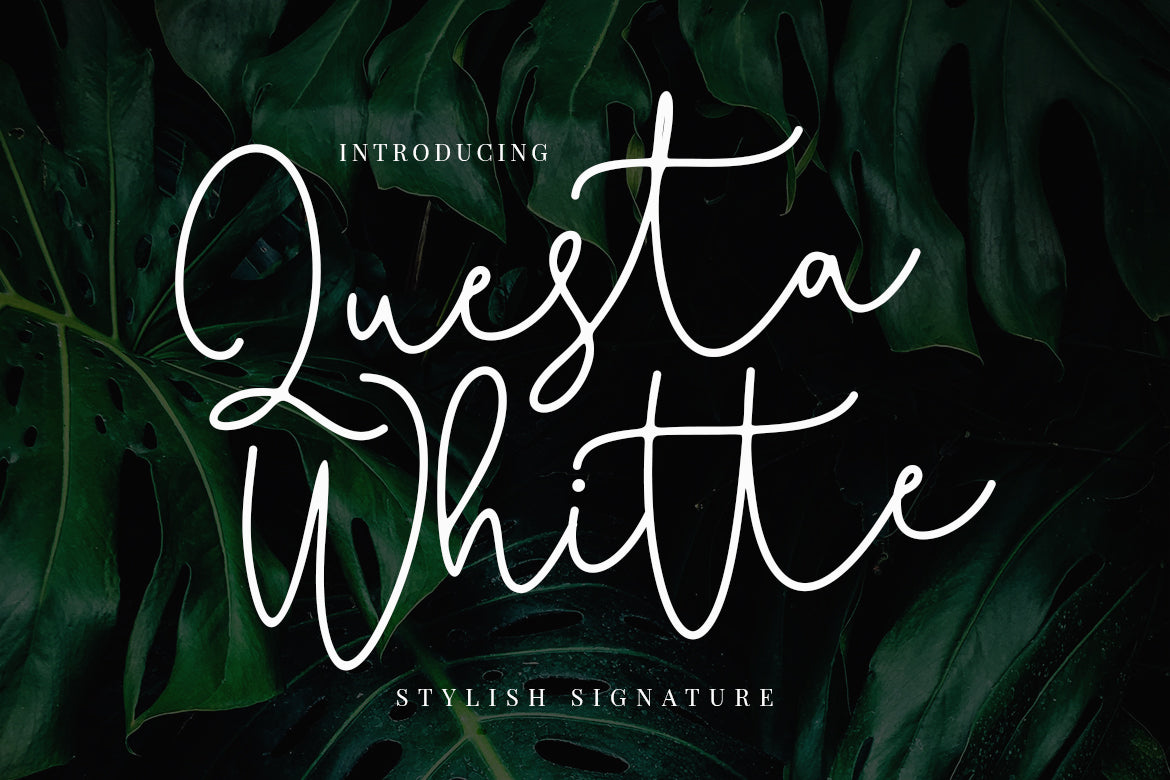 Free Font from Crella - Questa Whitte