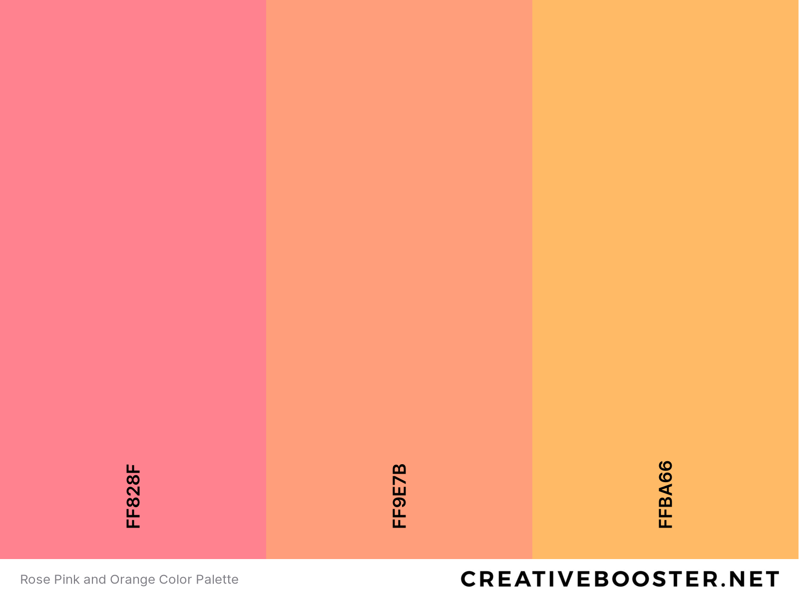 Rose Pink and Orange Color Palette