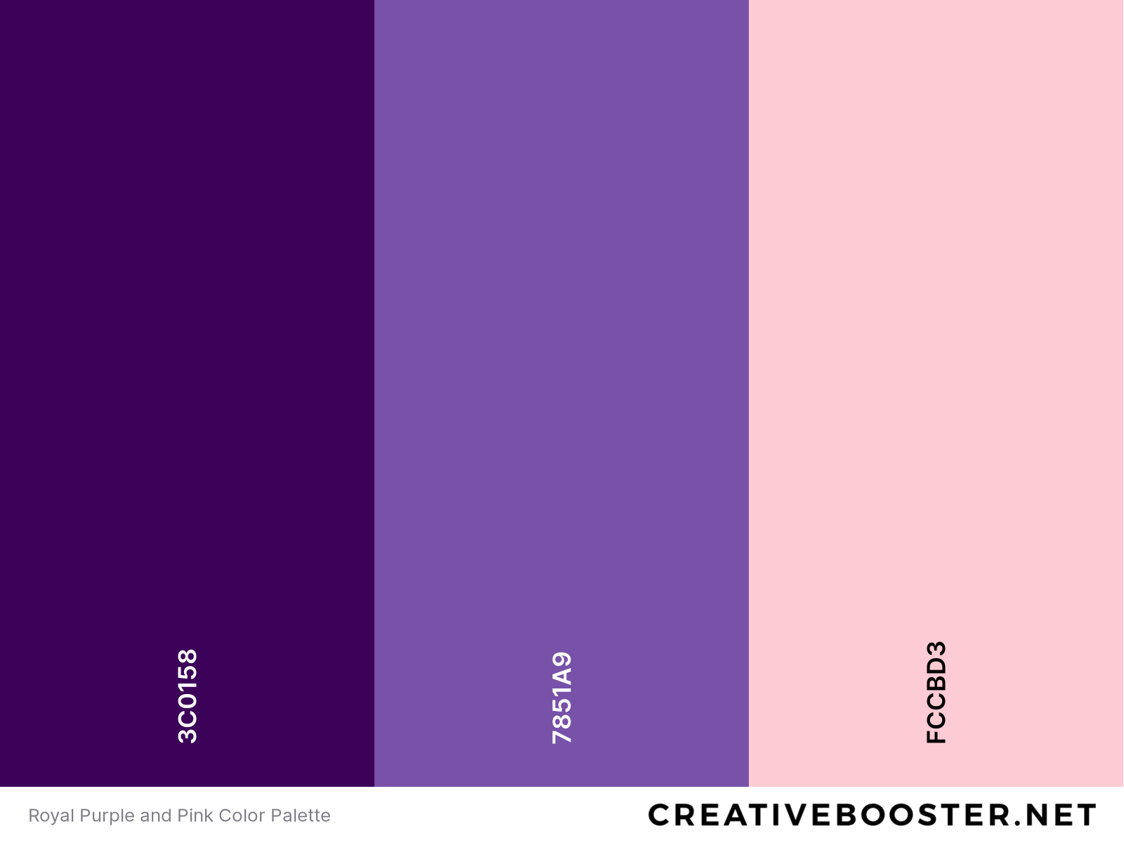 Royal Purple and Pink Color Palette