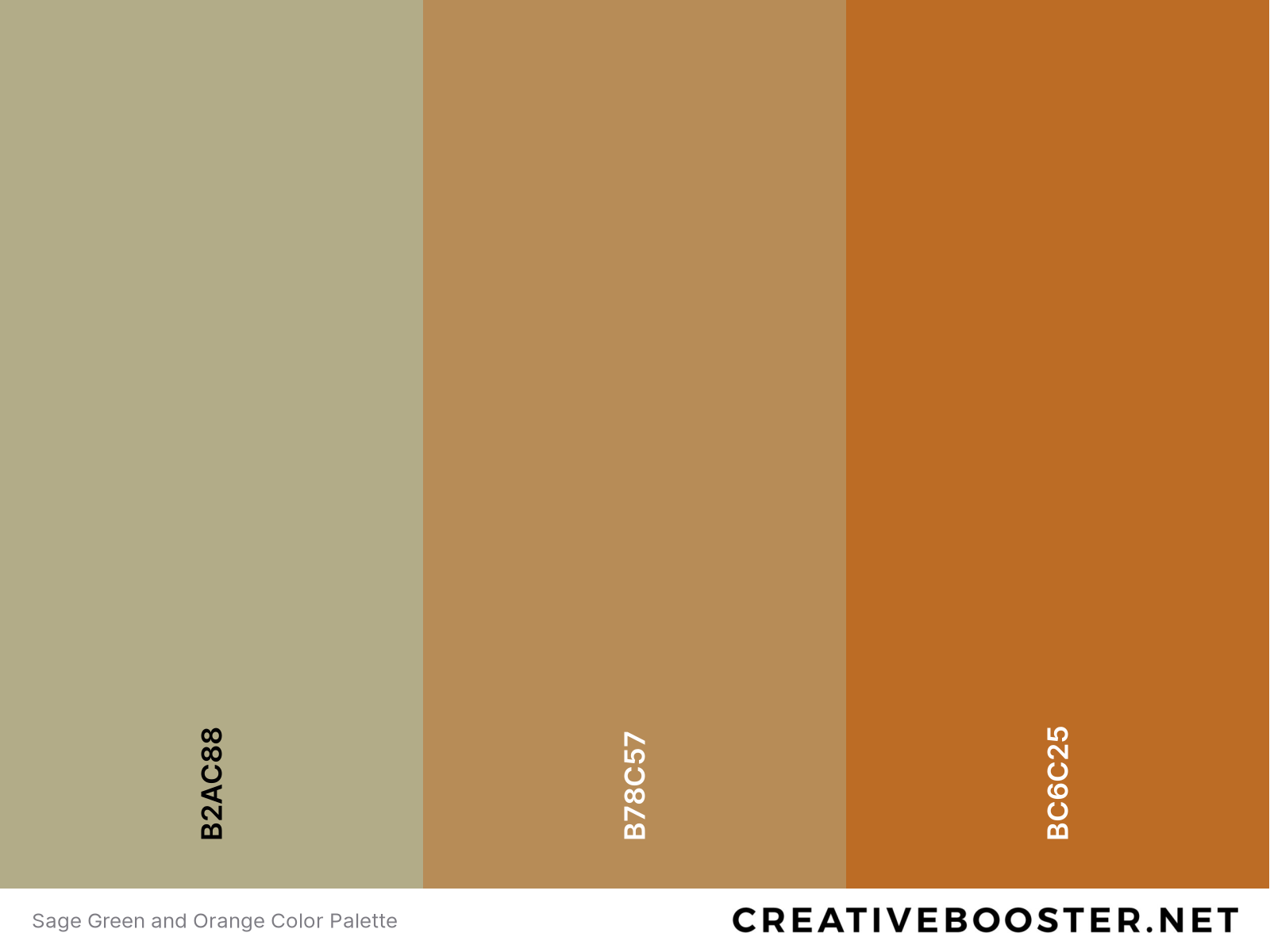 25+ Best Colors That Go With Orange (Color Palettes) – CreativeBooster