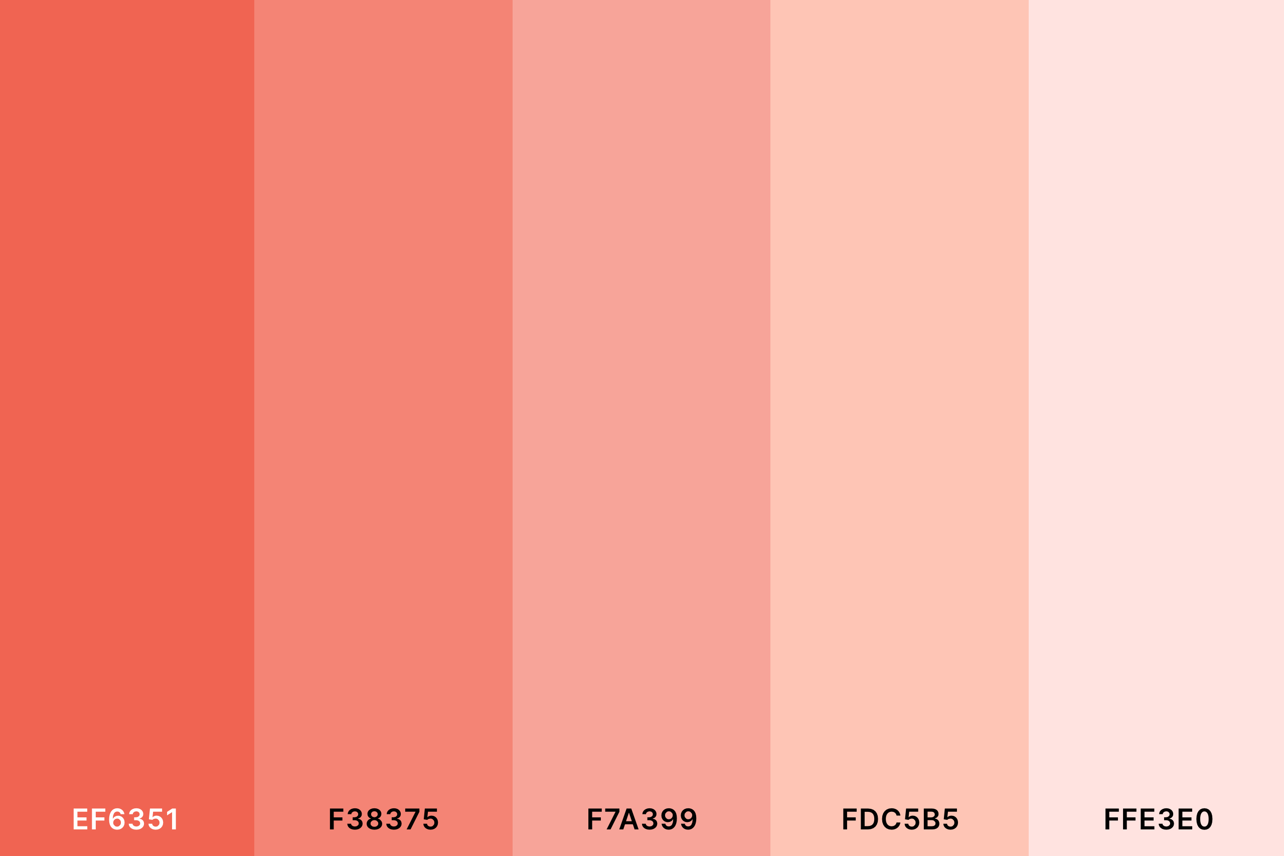 Salmon Peach Color Palette with Tomato (Hex #EF6351) + Salmon (Hex #F38375) + Melon (Hex #F7A399) + Salmon Peach (Hex #FDC5B5) + Misty Rose (Hex #FFE3E0) Color Palette with Hex Codes