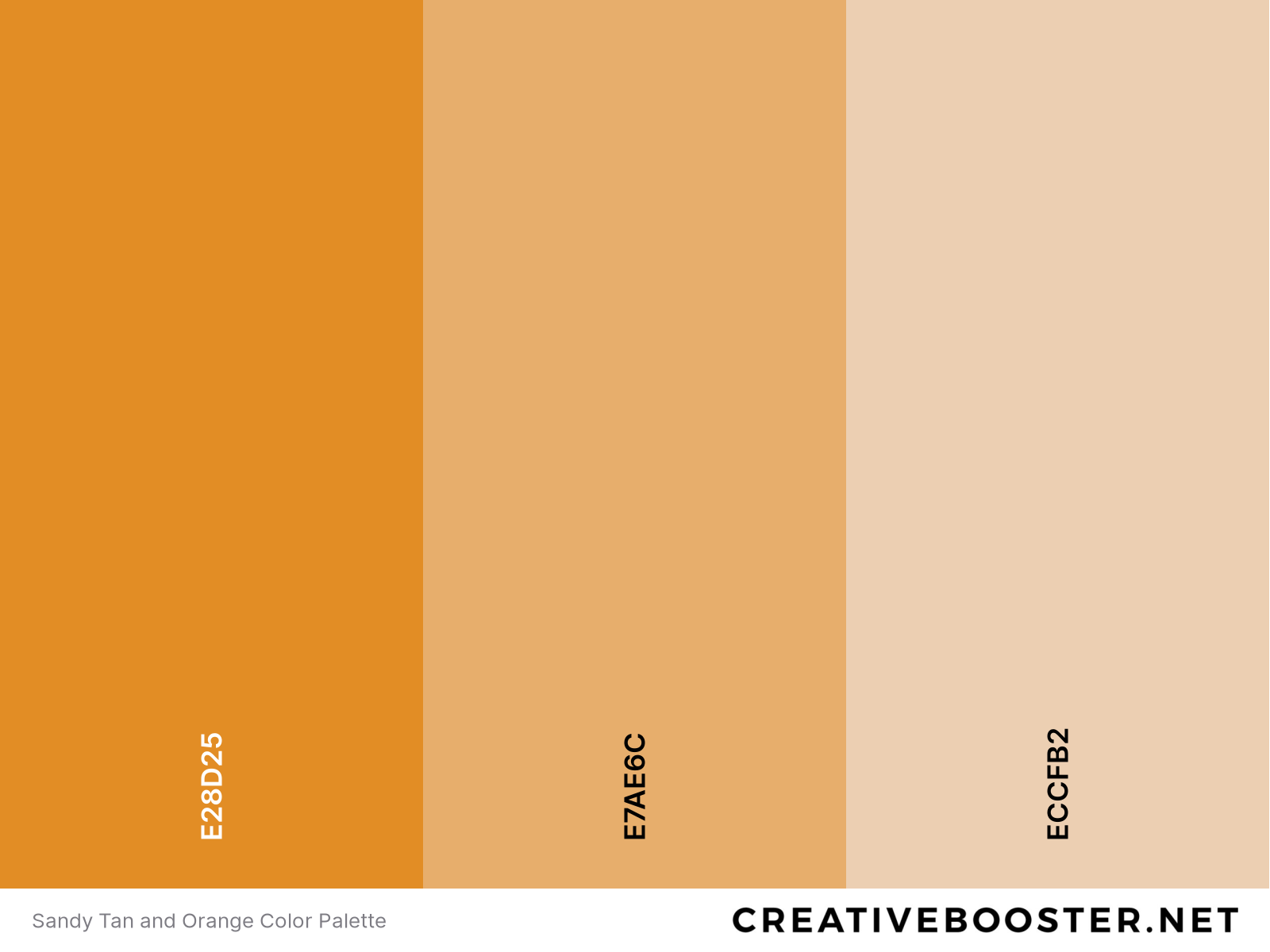 Sandy Tan and Orange Color Palette