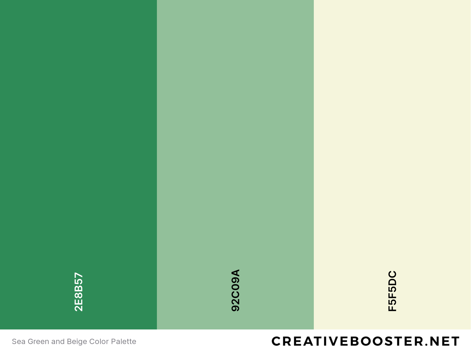 Sea Green and Beige Color Palette