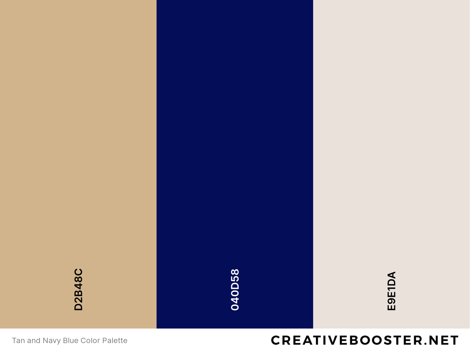 Tan and Navy Blue Color Palette