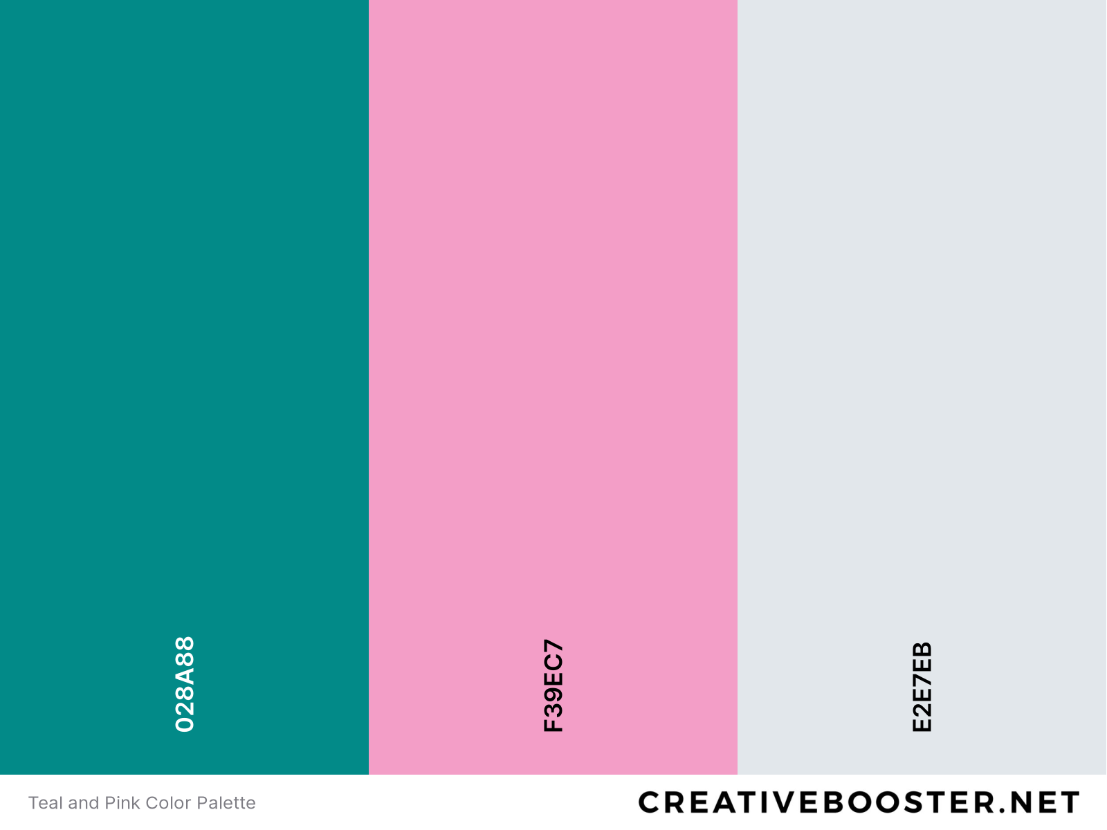 Teal and Pink Color Palette