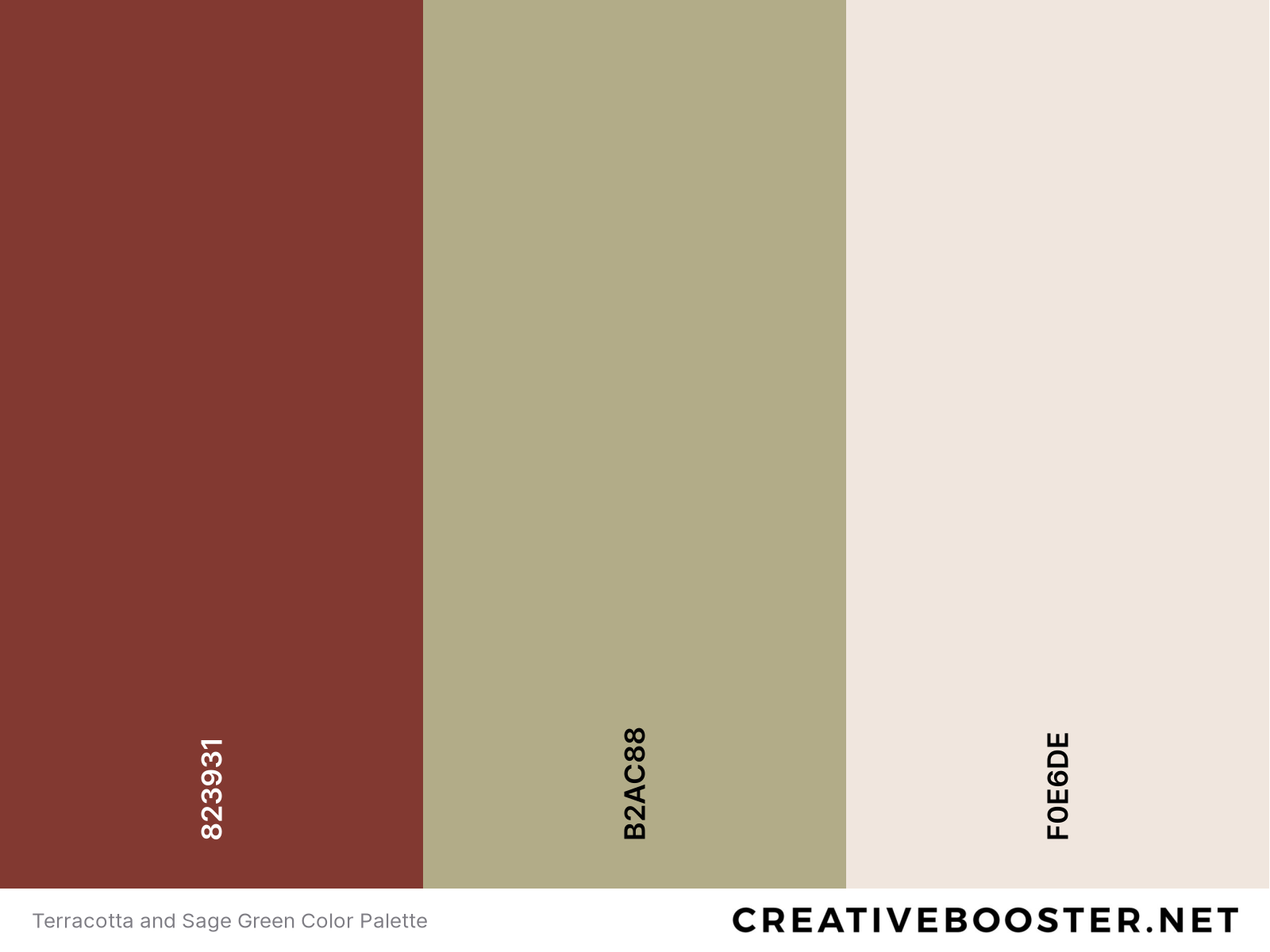 Terracotta and Sage Green Color Palette