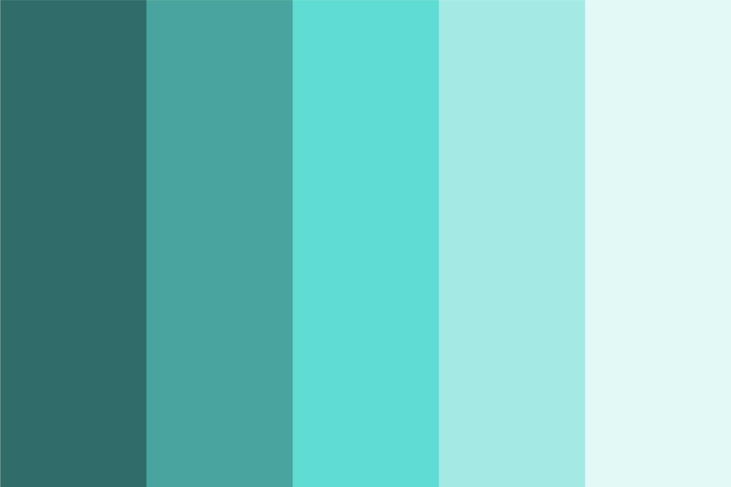 All About the Color Tiffany Blue (Hex Code #81D8D0) – CreativeBooster