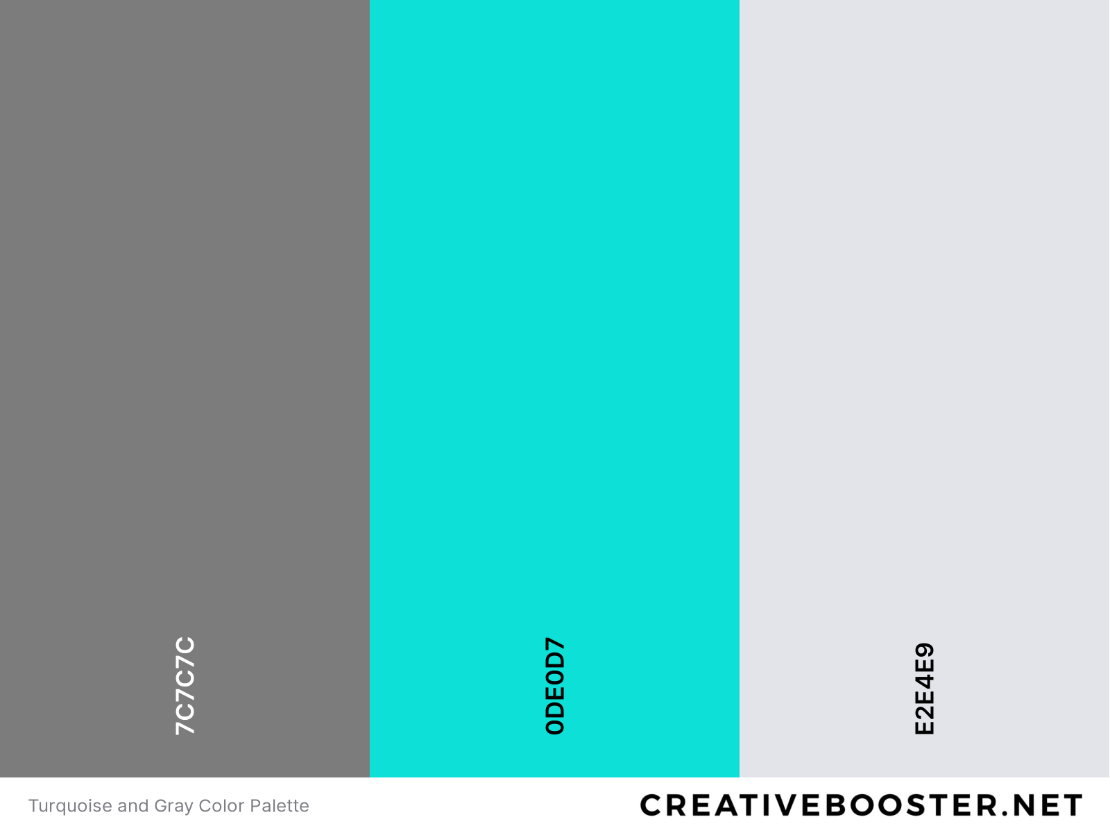 Turquoise and Gray Color Palette