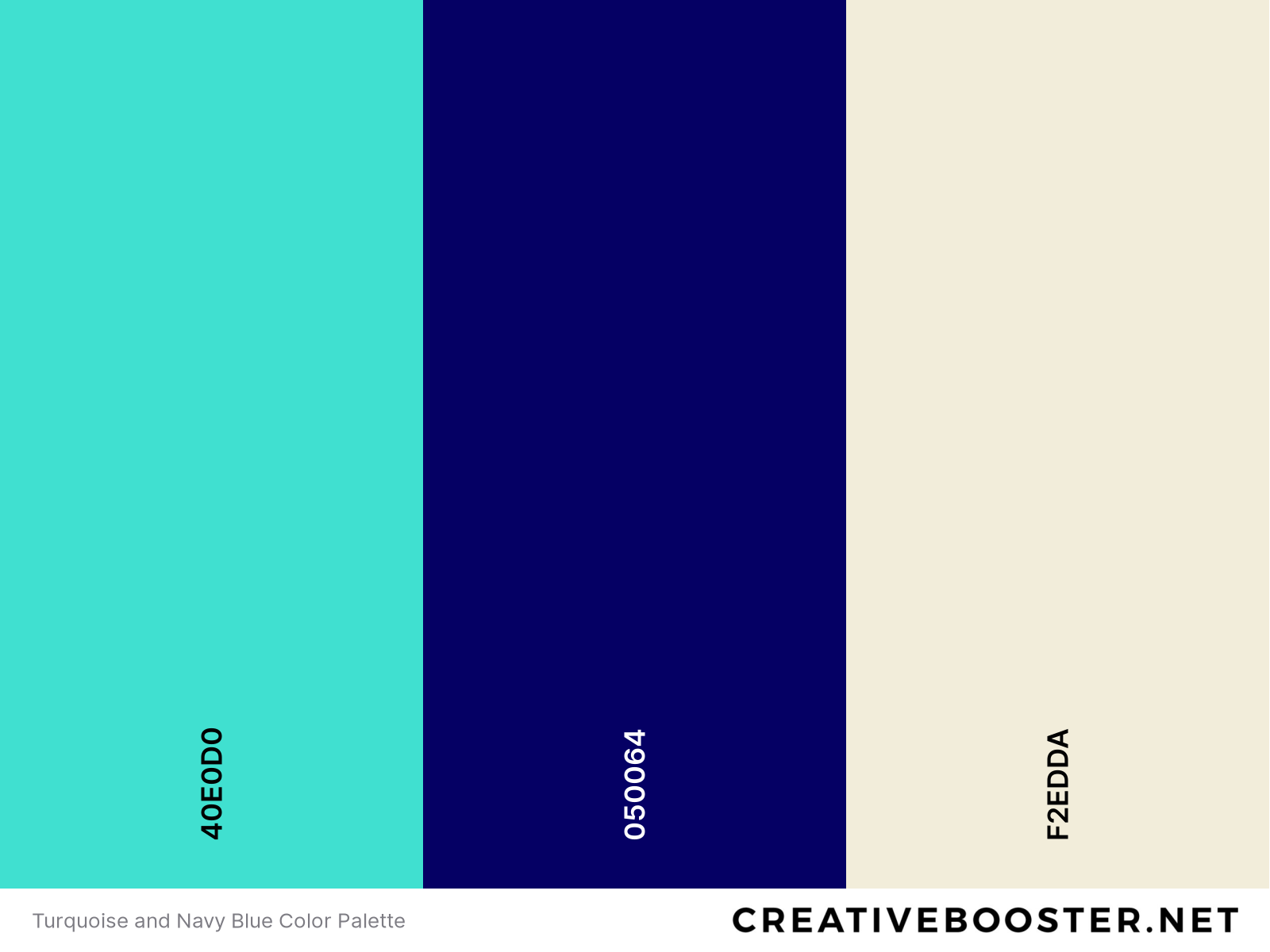 Turquoise and Navy Blue Color Palette