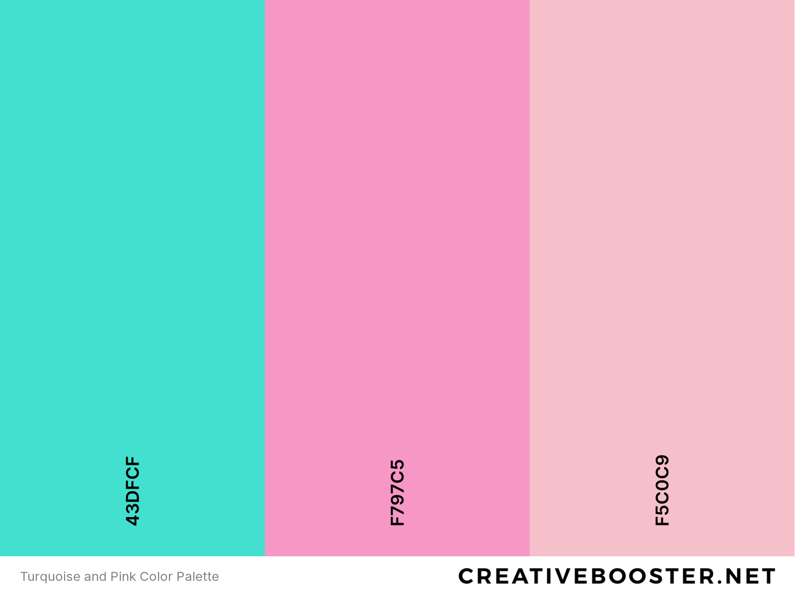 Turquoise and Pink Color Palette
