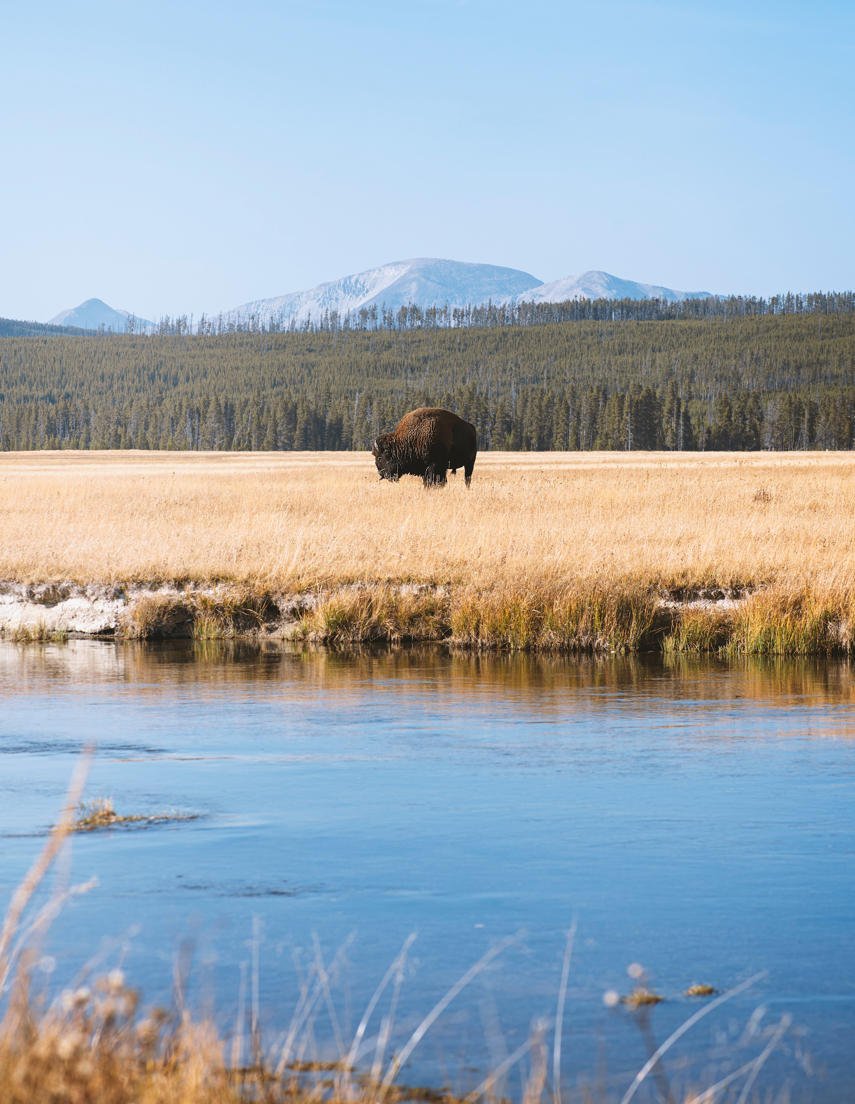 What Month is the Best to Visit Yellowstone