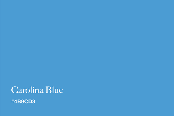 All About the Color Pacific Blue (Hex Code #1CA9C9) – CreativeBooster