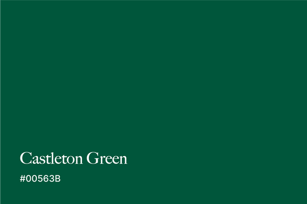 castleton-green-color-backroung-with-name-and-hex-code-#00563B