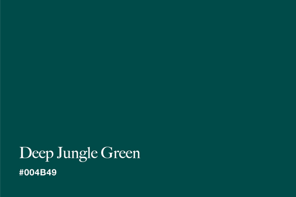deep-jungle-green-color-with-hex-code-#004B49