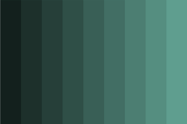 dull-teal-shades color palette