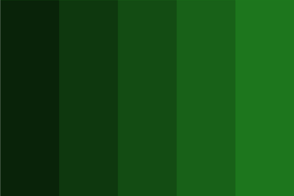 forest-green-color-dark-shades