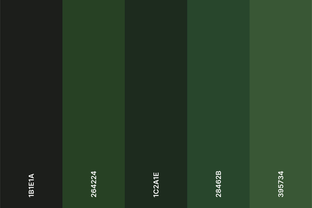 forest-green-color-palette