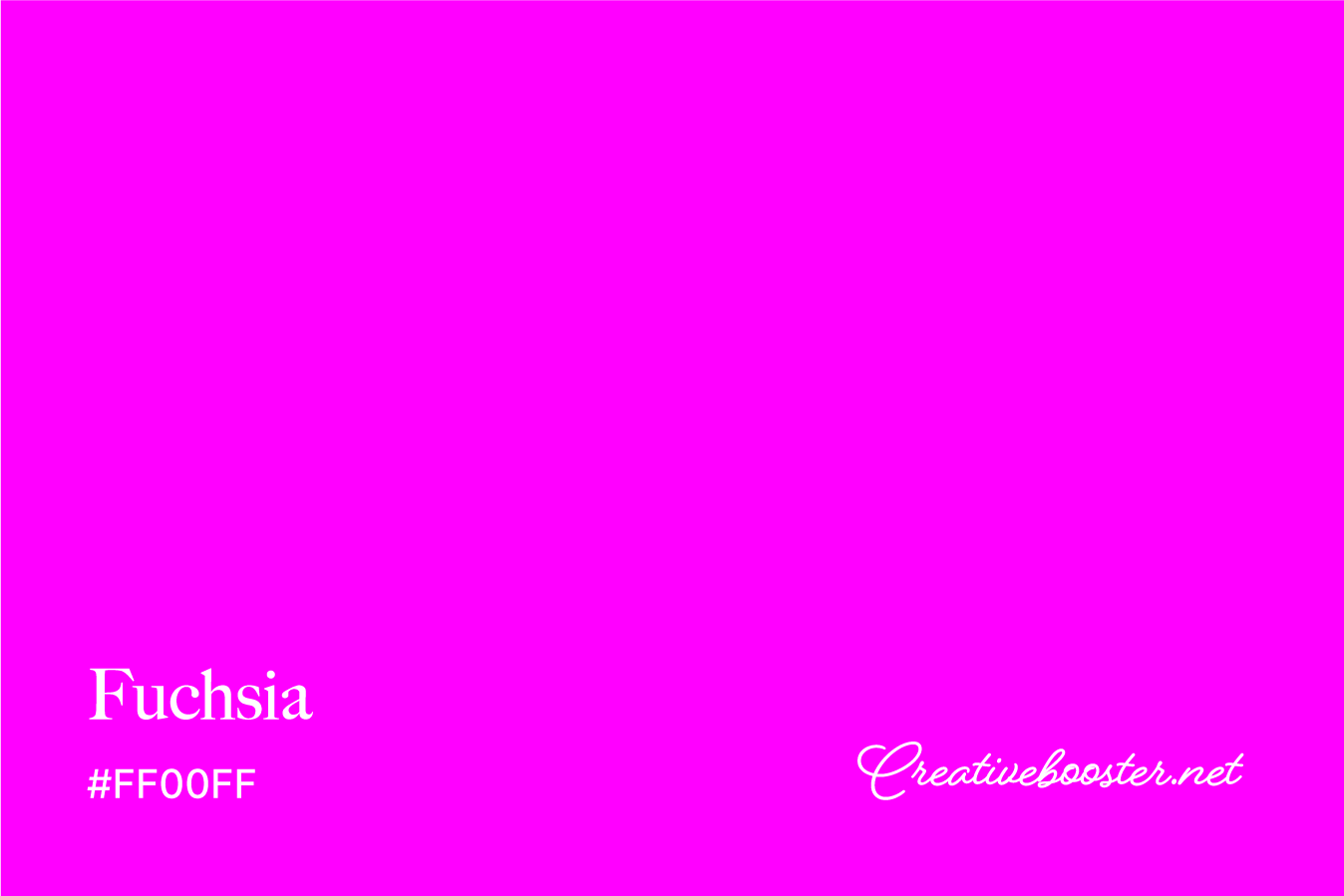 fuchsia-color-with-name-and-hex-code-#FF00FF