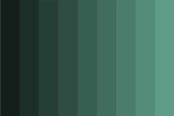 gray-teal-shades color palette