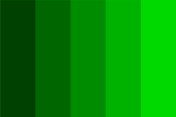 green-color-dark-shades