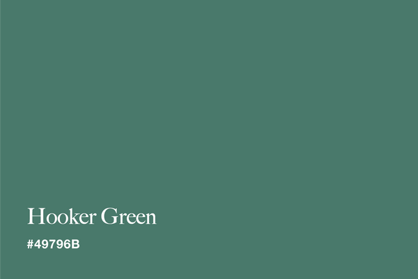 hooker-green-color-with-hex-code-#49796B