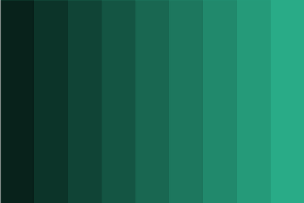 jungle-green-shades color palette