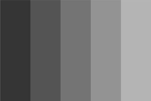 light-gray-color-dark-shades-color-palette