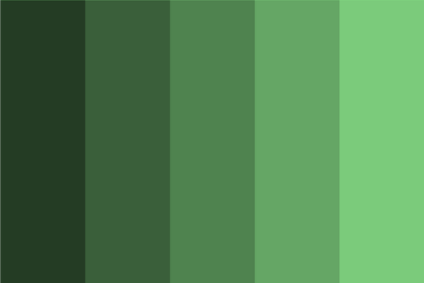 light-green-color-dark-shades