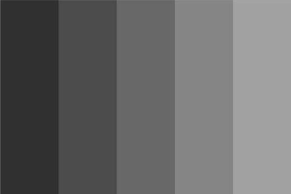 medium-gray-color-dark-shades-color-palette