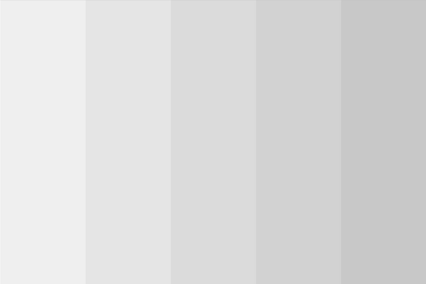 medium-gray-color-light-shades-(tints)-color-palette