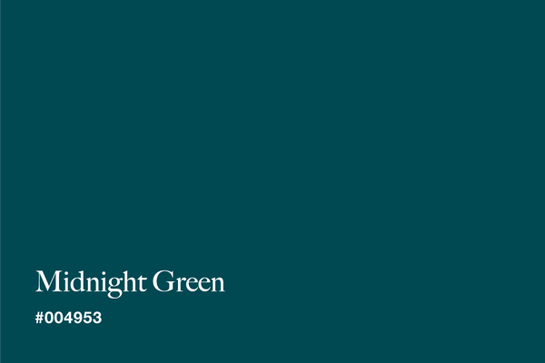 midnight-green-color-with-hex-code-#004953