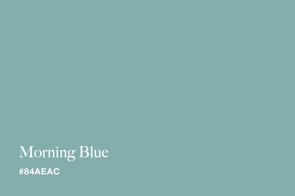 morning-blue-color-with-hex-code-#84AEAC