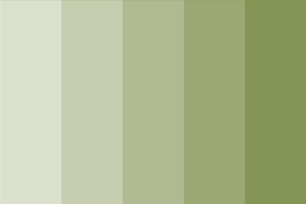 olive-green-color-light-shades-(tints)