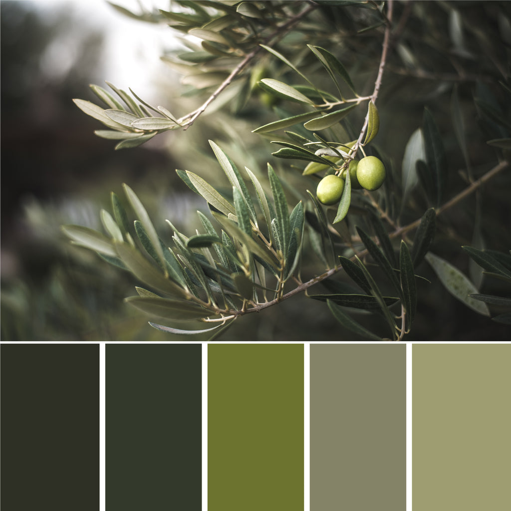 olive-green-color-palette-from-real-olives-photo