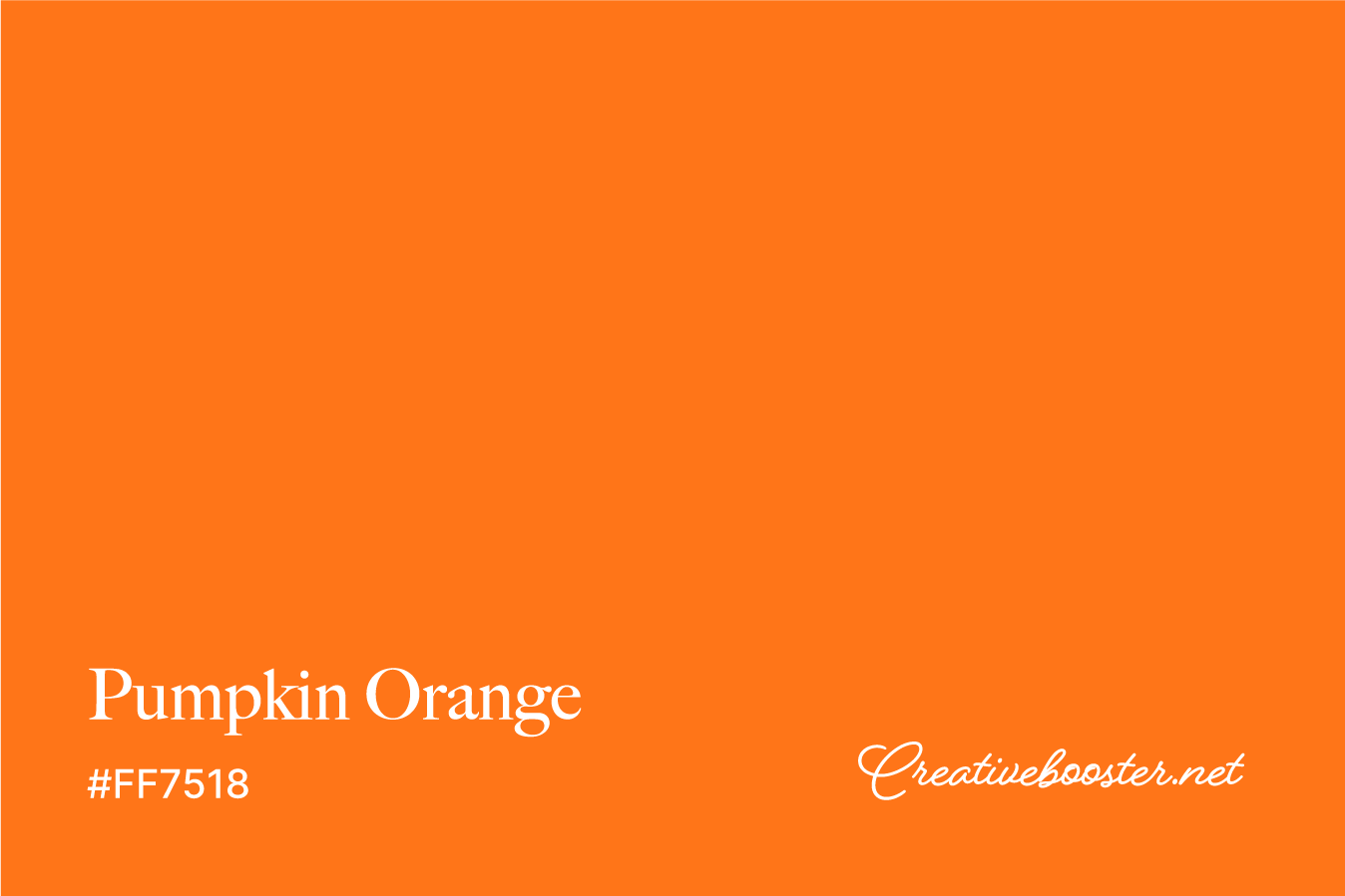 pumpkin-orange-color-with-name-and-hex-code-#FF7518