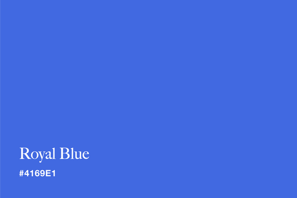 royal-blue-color-with-hex-code-#4169E1