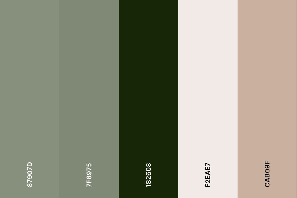 sage-green-color-palette