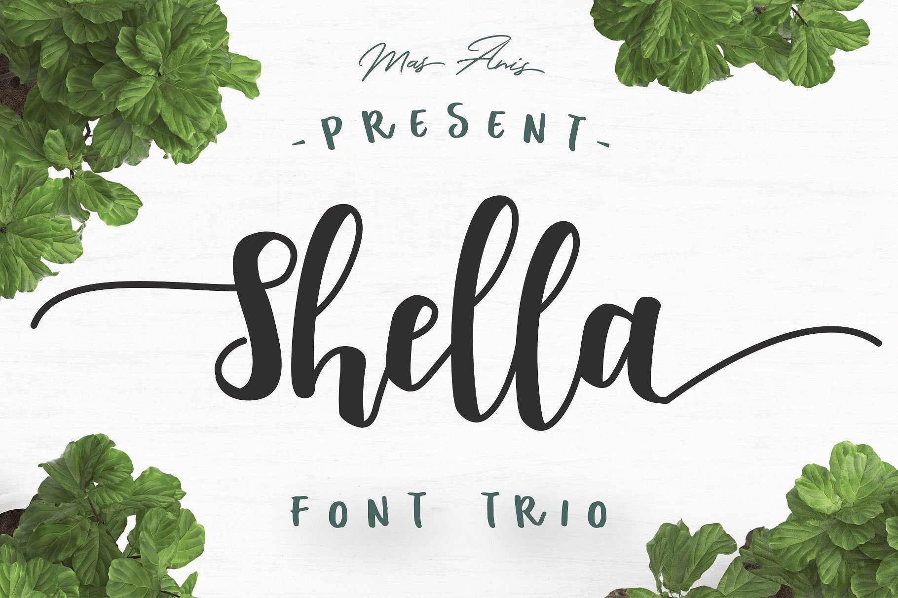 best free fonts - script font Shella