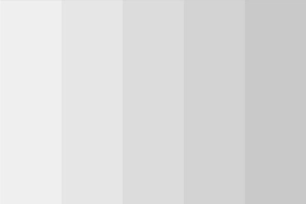 silver-color-light-shades-(tints)-color-palette