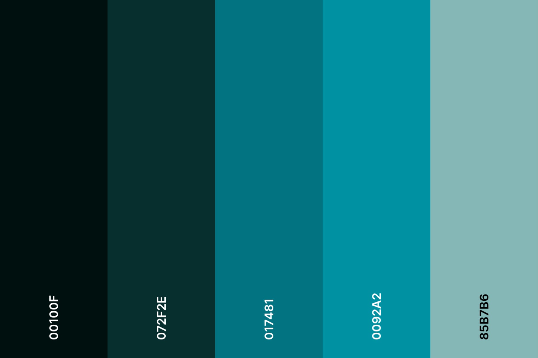 teal-and-black-color-palette-with-hex-codes