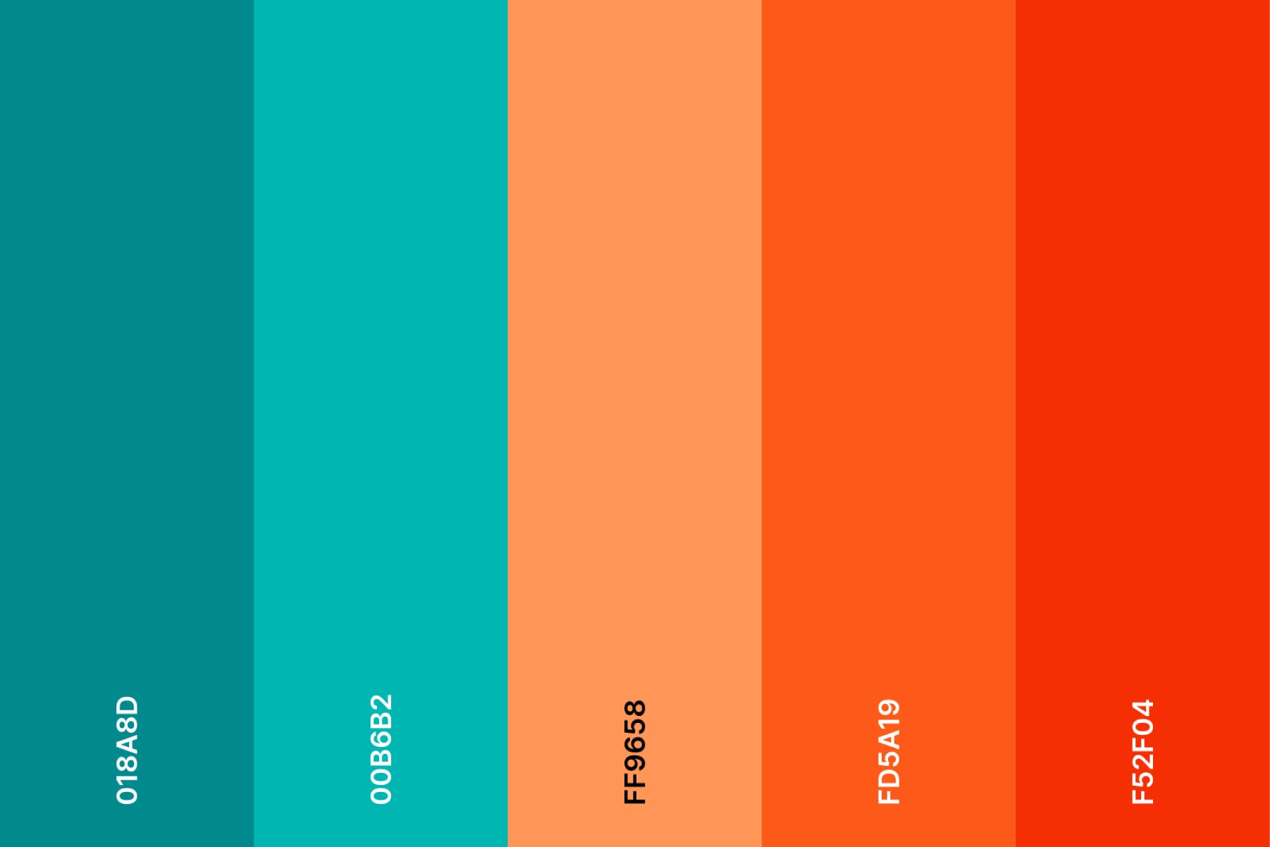 teal-and-coral-color-palette-with-hex-codes