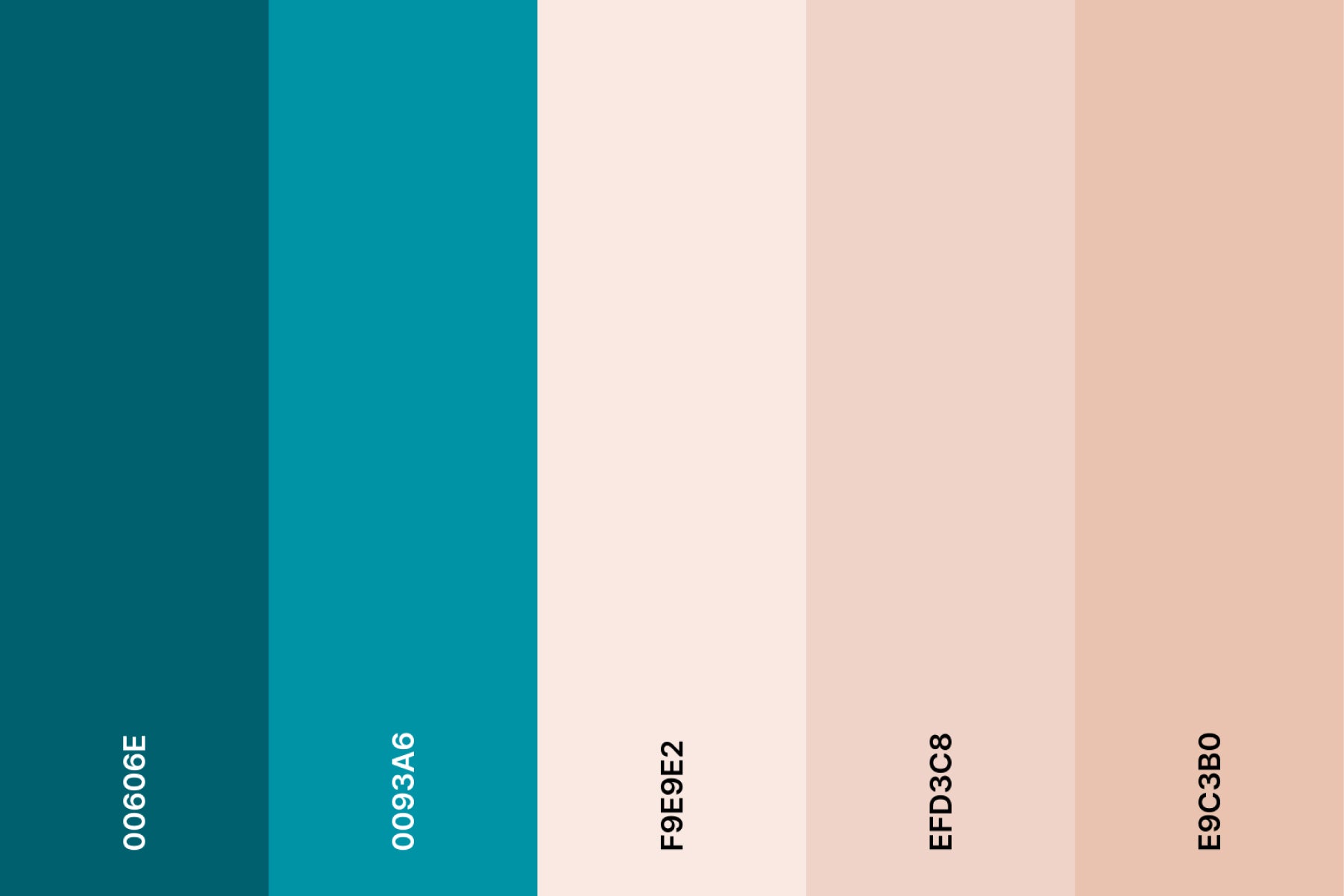 teal-and-cream-color-palette-with-hex-codes