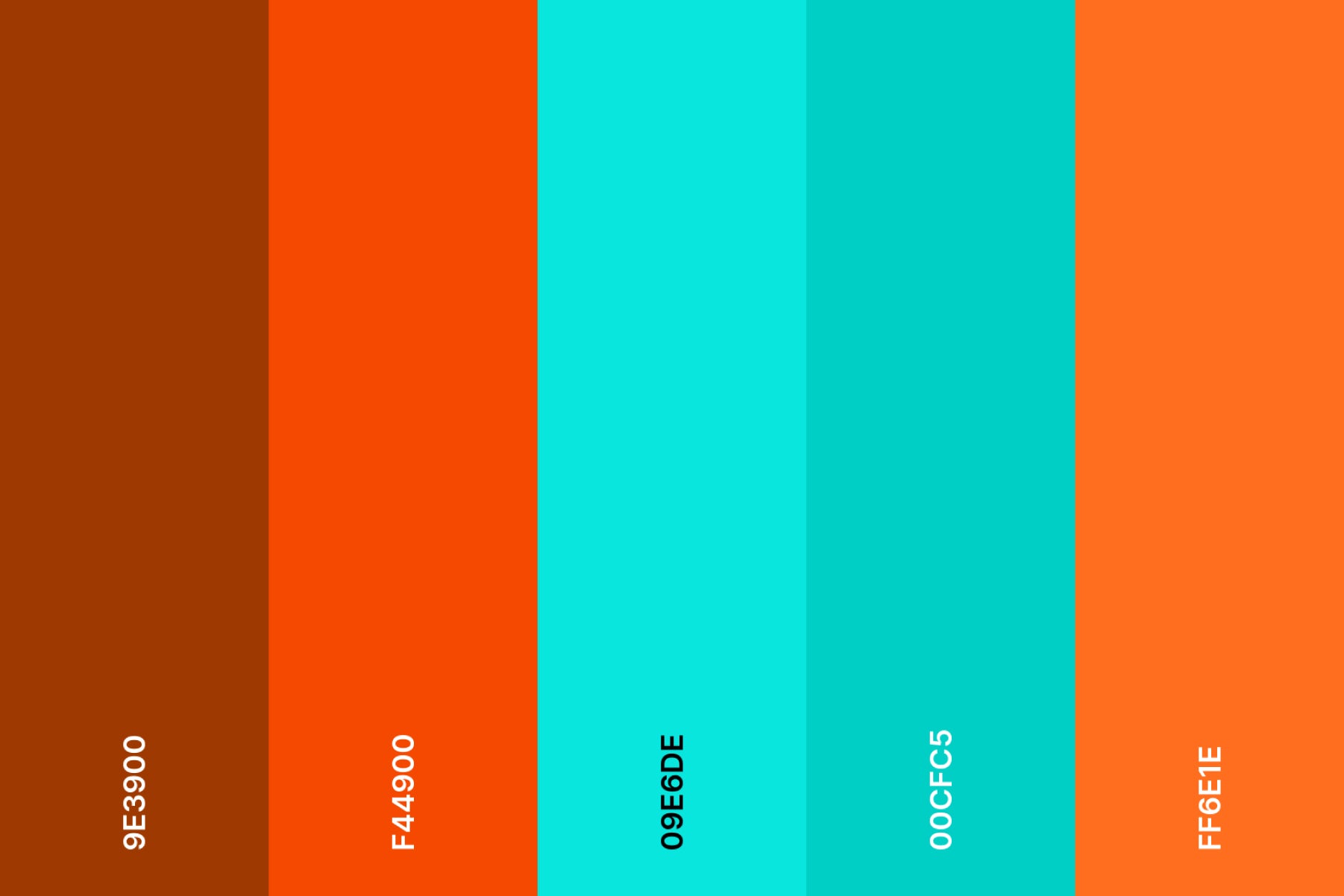 teal-and-orange-color-palette-with-hex-codes