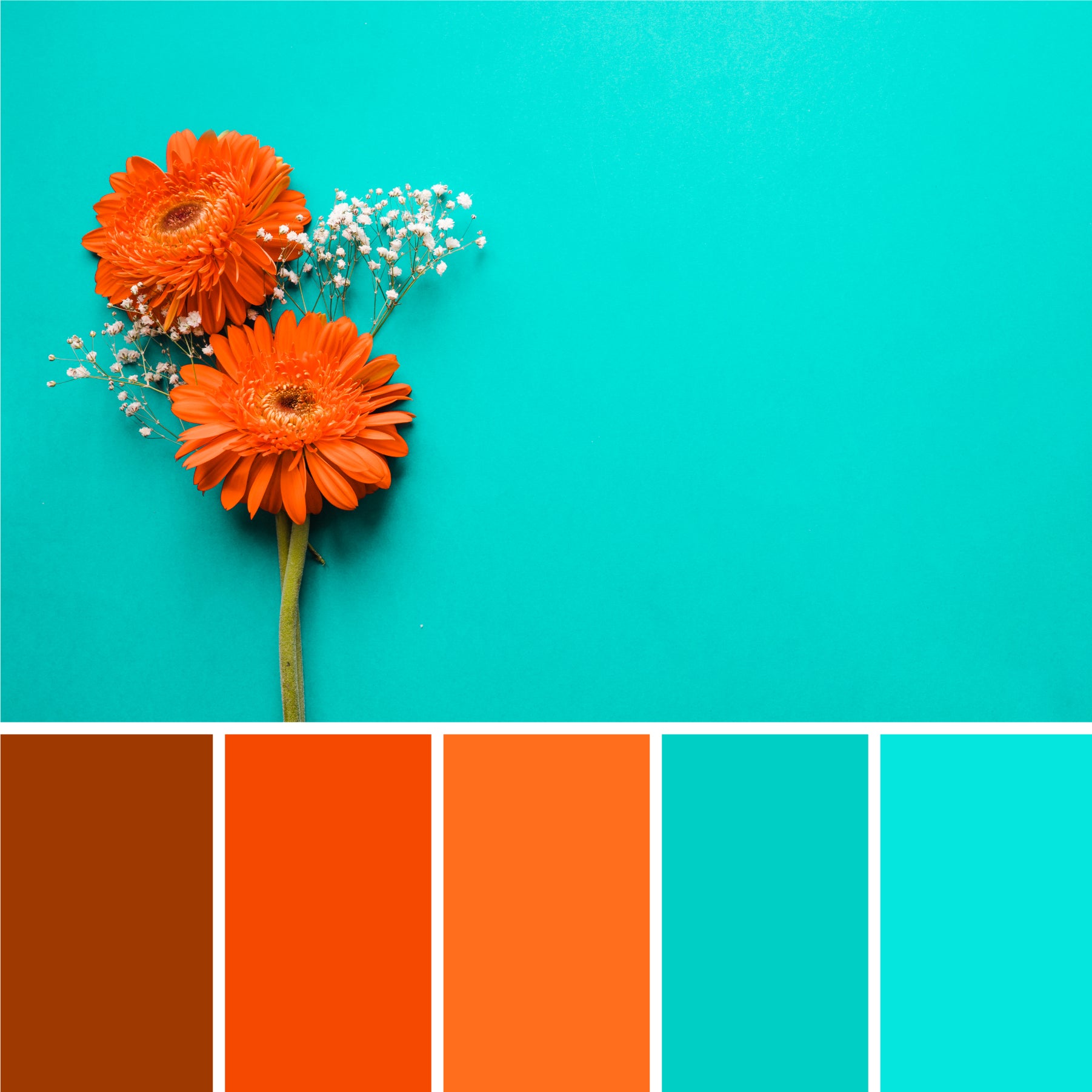 teal-and-orange-color-palette