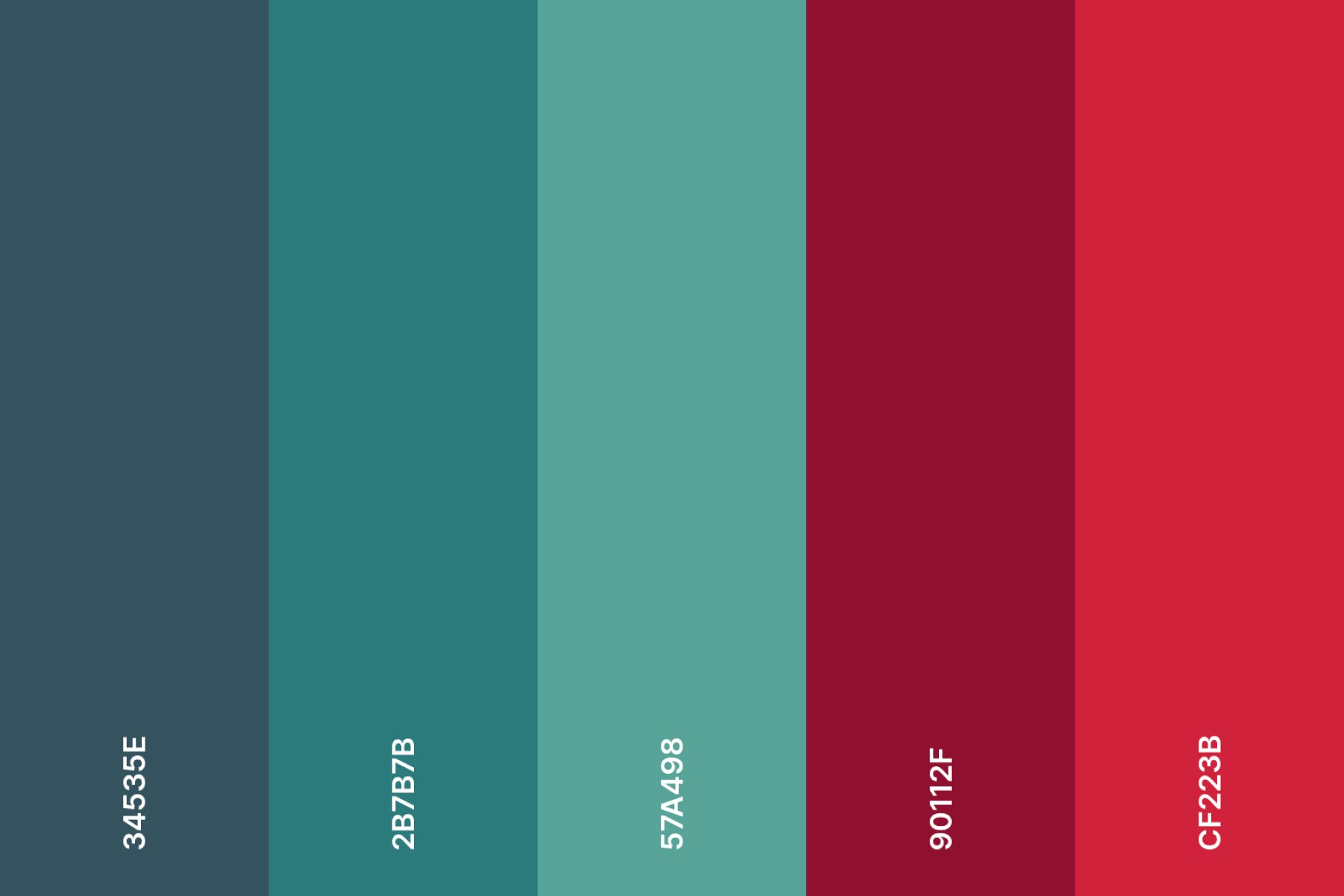 teal-and-red-color-palette-with-hex-codes