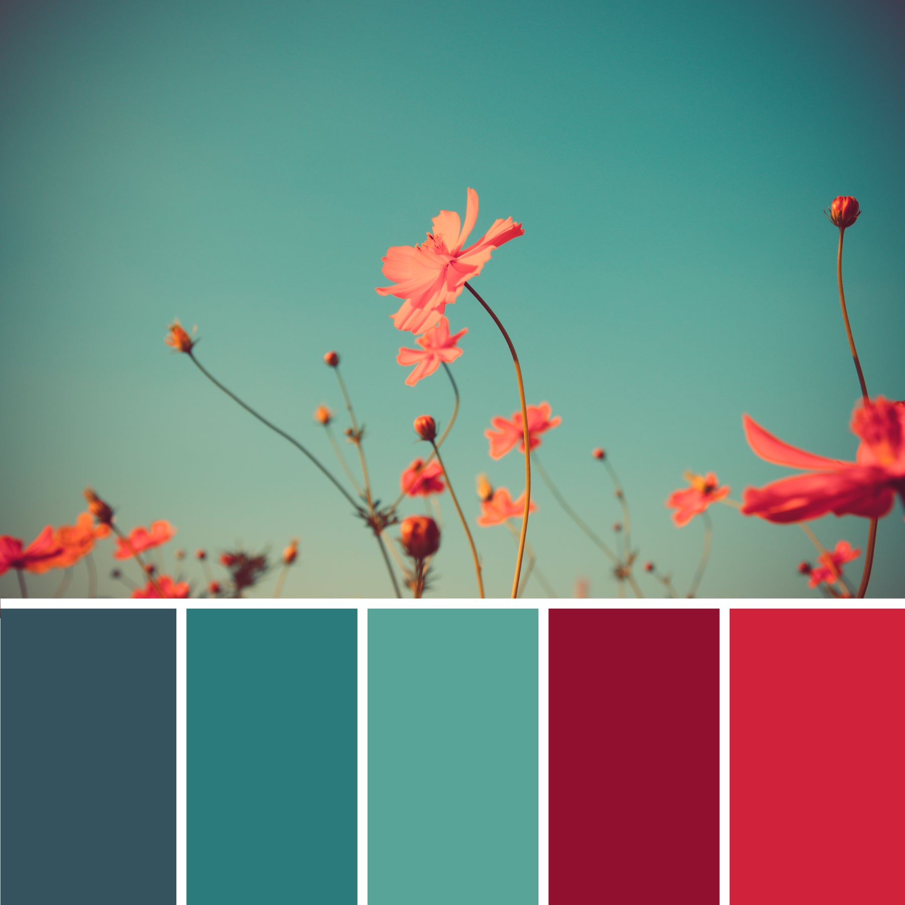 teal-and-red-color-palette