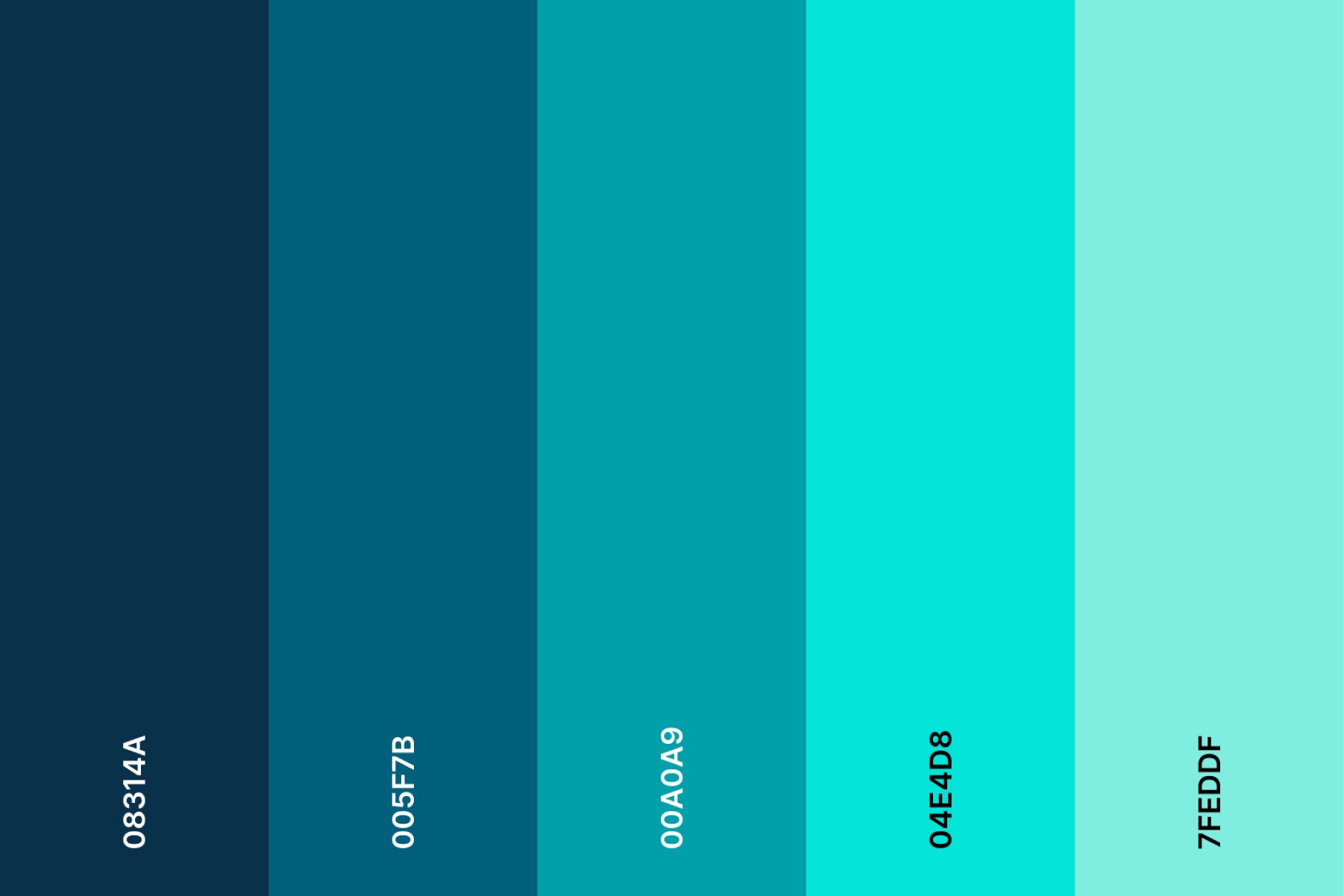 Color Palette Swatches Of Abstract Blurred Shapes Of Turquoise And Dark ...
