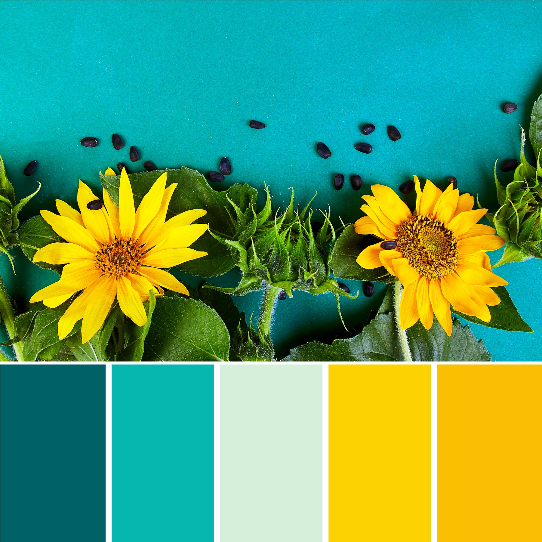 teal-and-yellow-color-palette