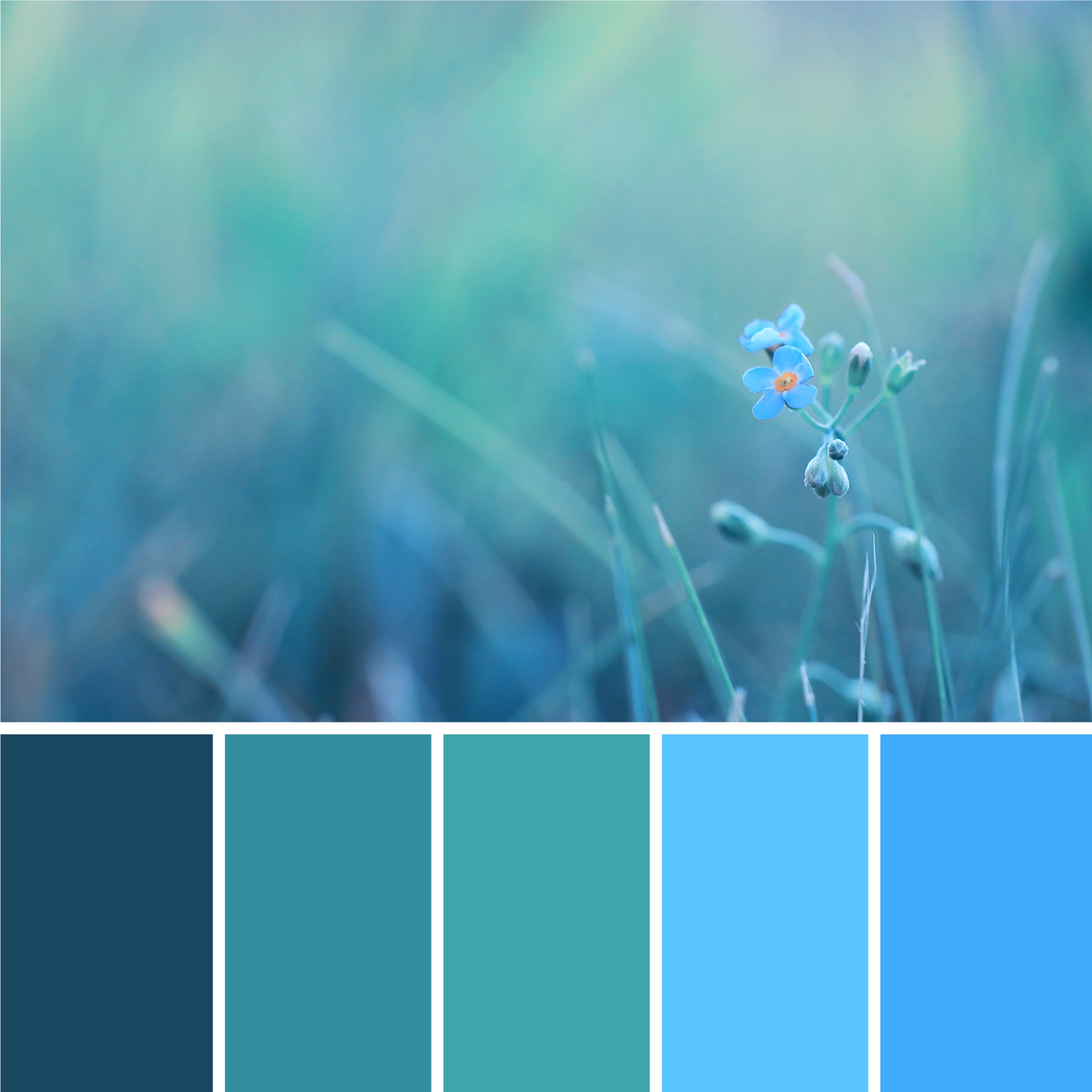 teal-blue-color-palette
