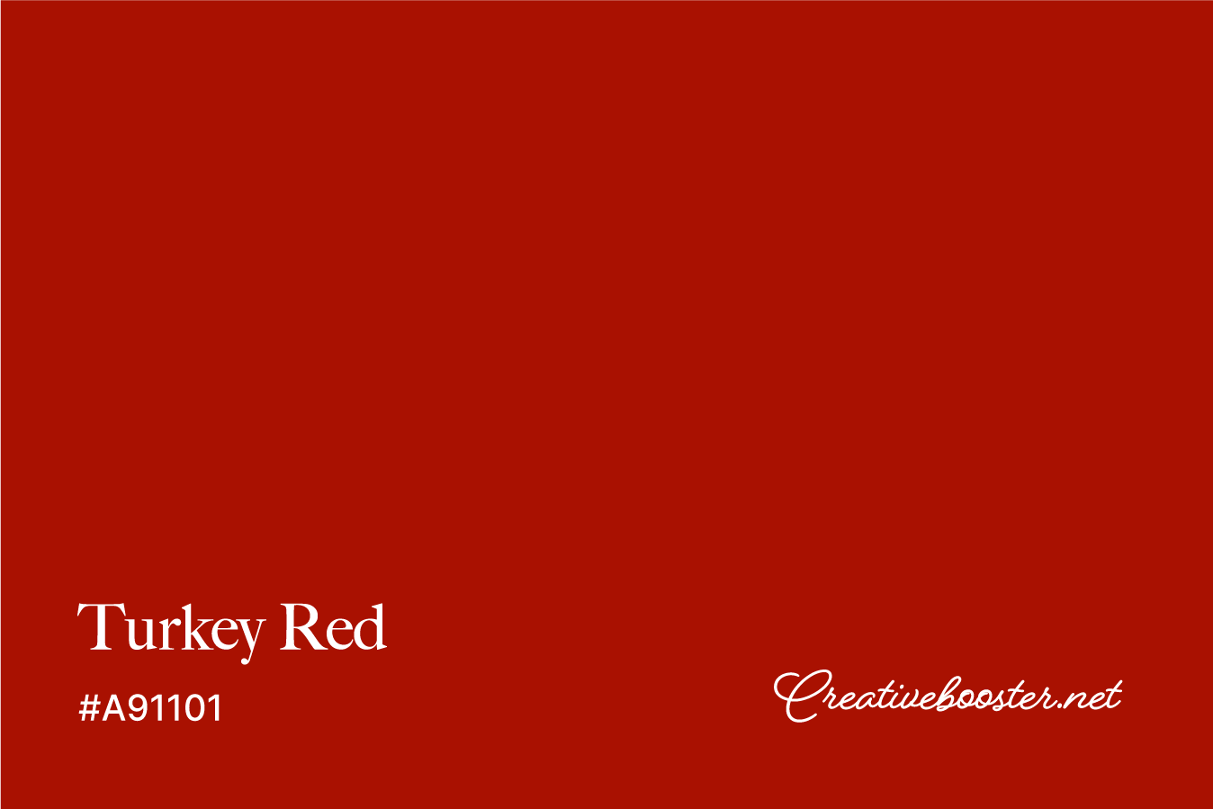 turkey-red-color-with-name-and-hex-code-#A91101